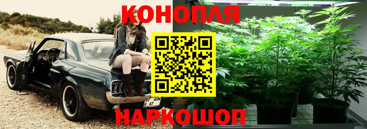 Марихуана семена  Конопля White Widow  Вход с VPN  Бошки Шишки SATIVA & INDICA  Армавир 